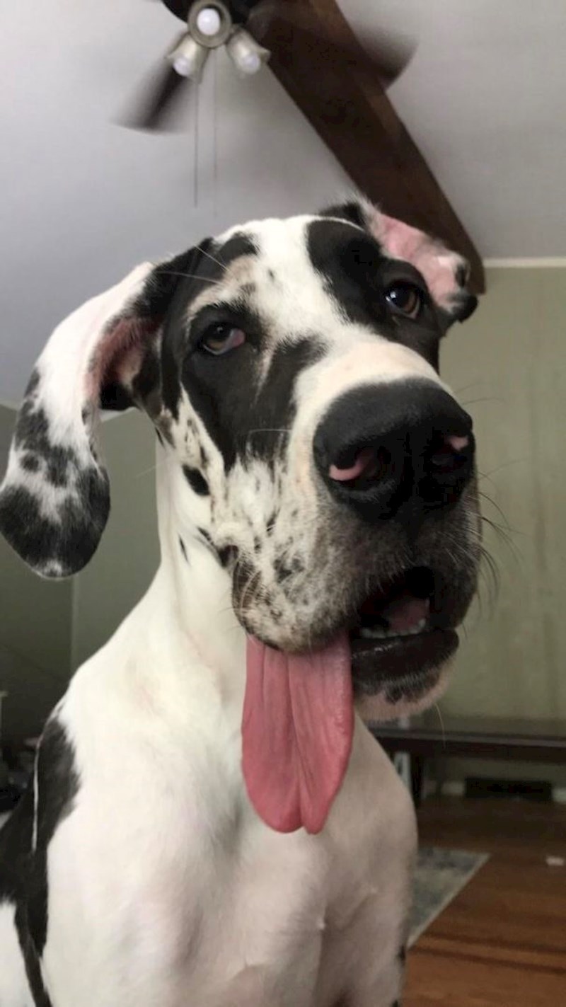 On izgleda kako se ja osjećam