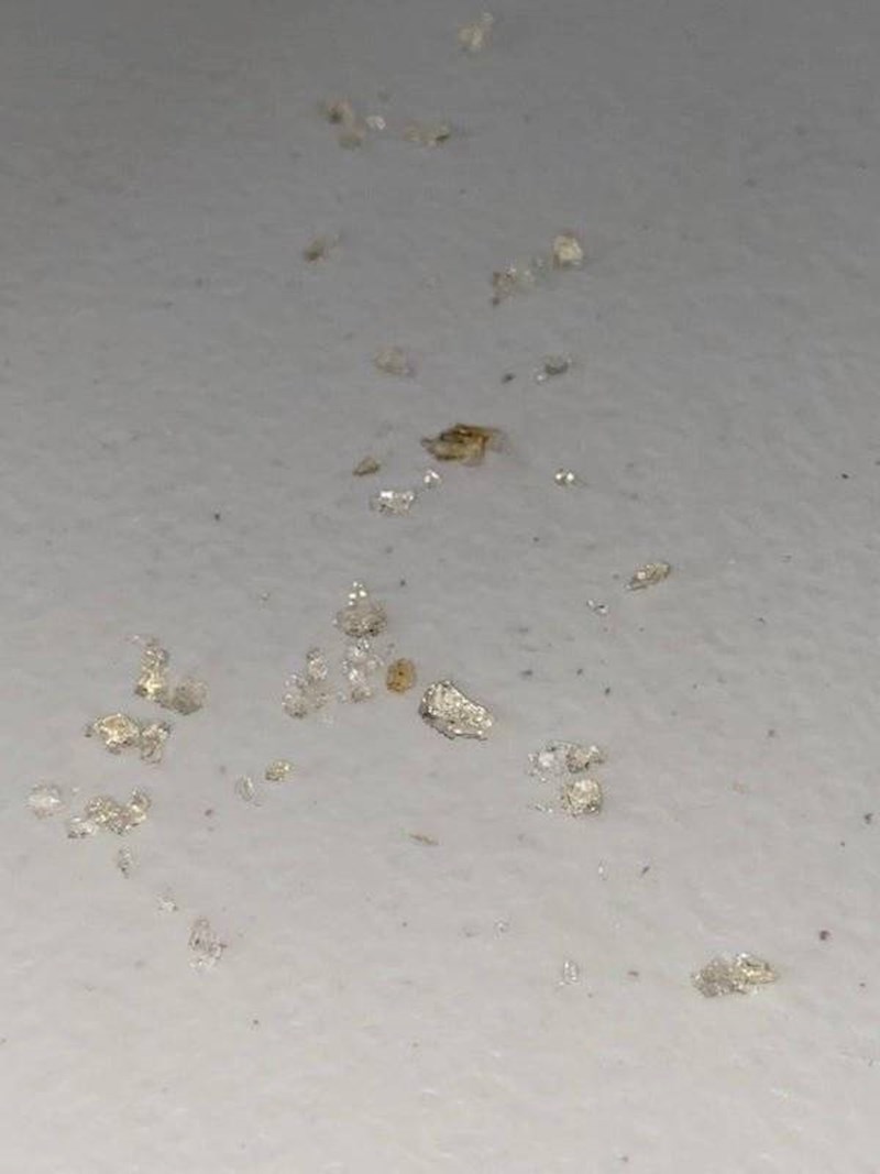 Našla sam ovo u svom ananasu, što je to?