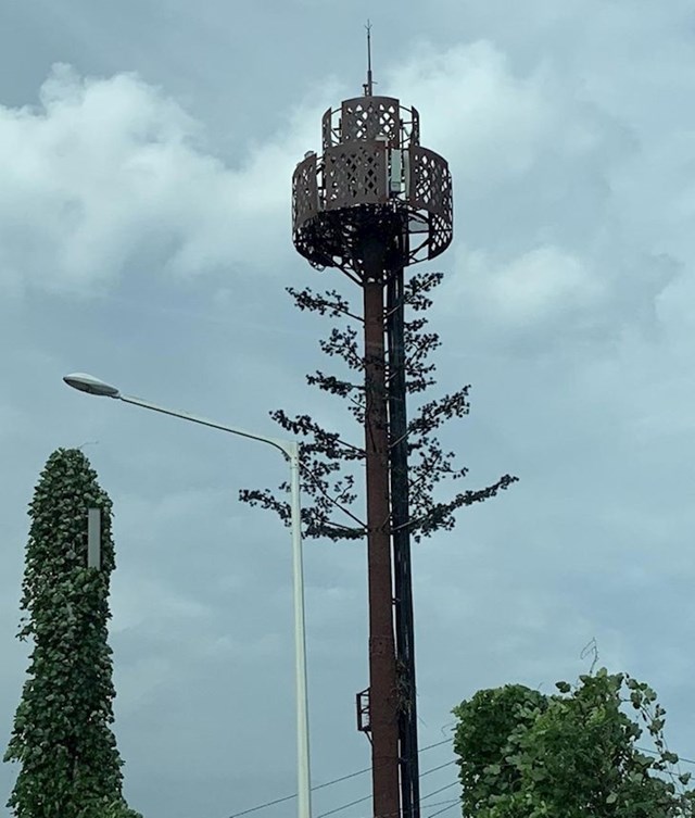 Jako se pazi na javni prostor - ovo je toranj za telekomunikacije kamufliran u stablo