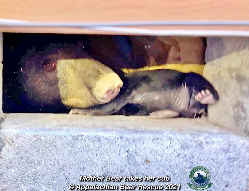 Nakon malo natezanja, uspjeli su!