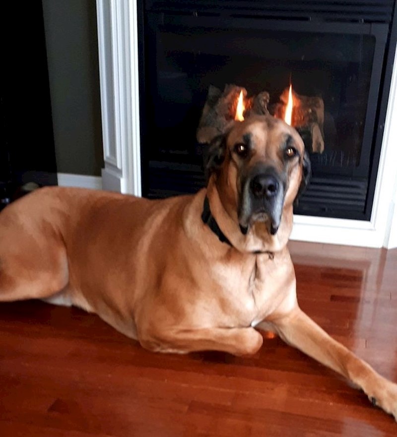 Inače je mirna duša iako ovdje izgleda kao vražji potomak