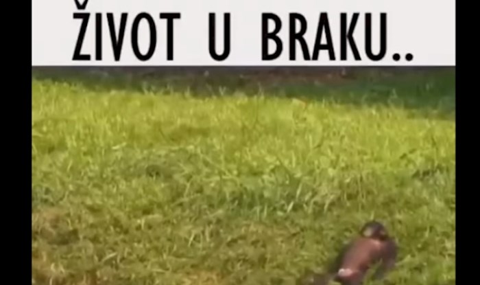 Facebookom se širi video koji prikazuje život u braku, svi se slažu da je točan i urnebesan