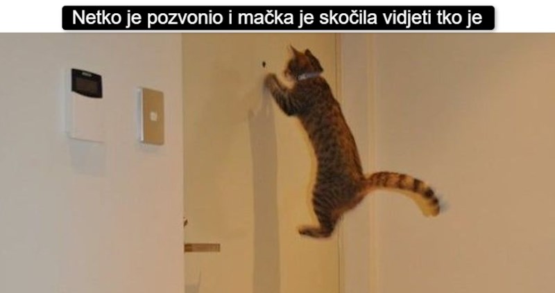 15 fotografija koje su uhvaćene baš u pravi čas