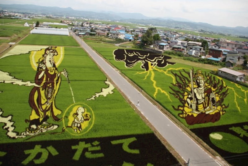 Polja riže često su zapravo umjetnička djela