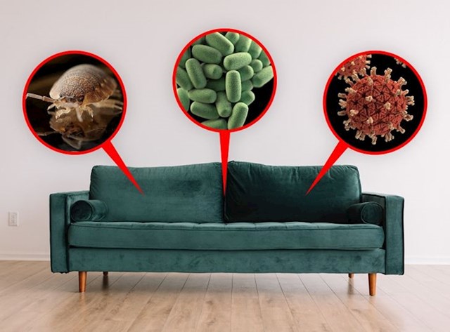 Kauč je prljav i pun bakterija
