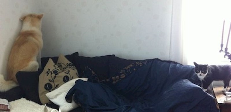 Ako ja ne vidim nju, možda ne vidi ni ona mene