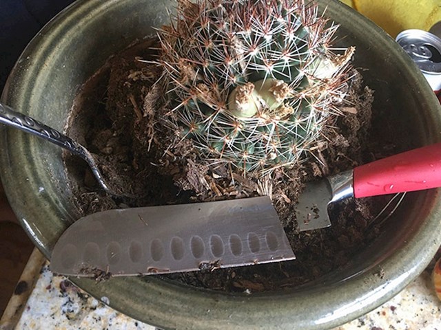 Suprug je za vrtlarenje upotrijebio moj najdraži nož