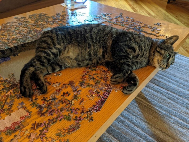 NAkon što sam tjednima iznova slagao, napokon sam odustao i pospremio puzzle