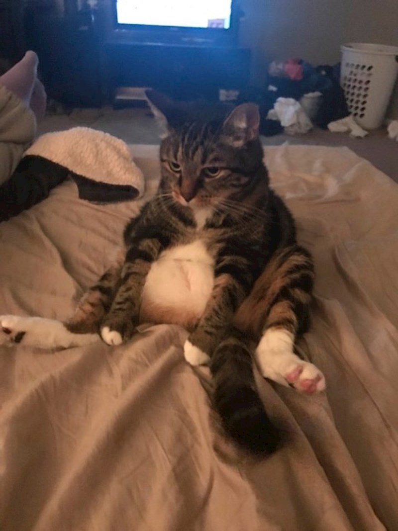 U stanju je sjediti ovako dok god mu ne posvetim pažnju