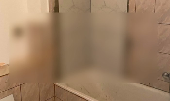 Žena iz BiH je htjela novu kupaonicu i pozvala majstore, morate vidjeti što su joj napravili
