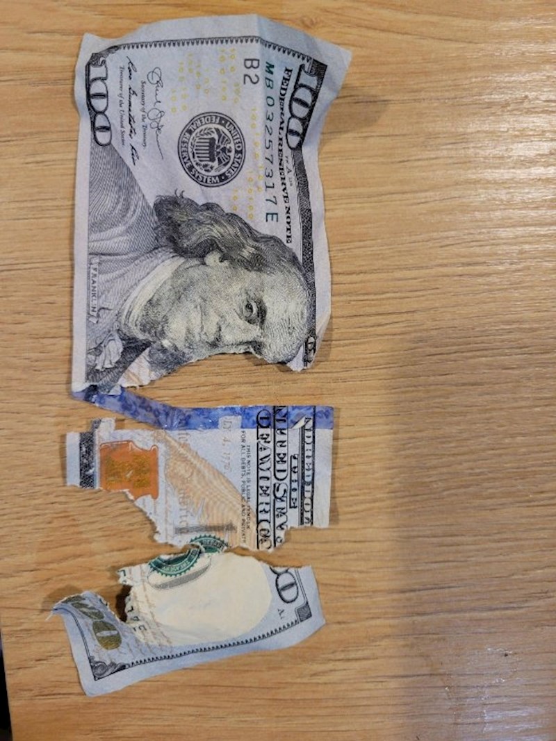 Pas mi je pojeo zada.., ovaj, novčanicu od 100 dolara