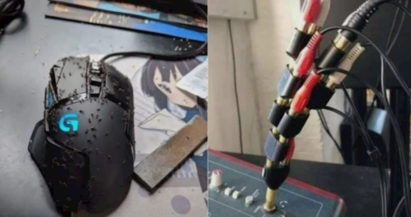 Radnici u tehničkoj podršci pokazali su najgore scene koje su zatekli na poslu