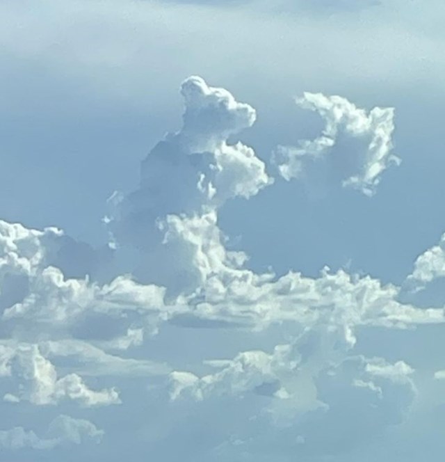 Oblak u obliku medvjeda