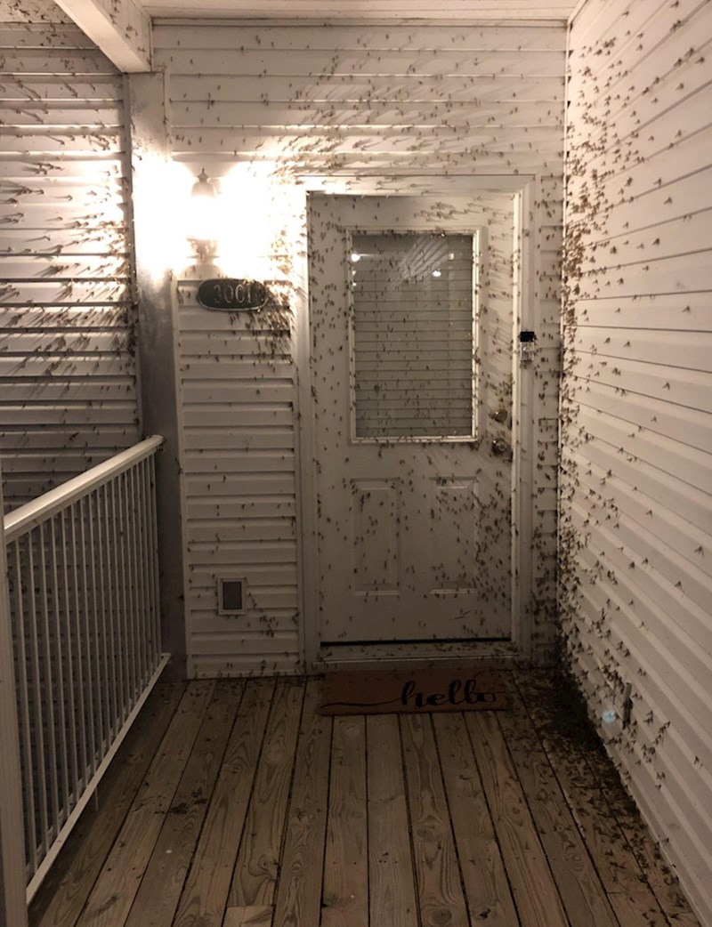 Večeras sam morao proći kroz ova vrata da bi došao do svoje sobe, ne znam odakle su se stvorili.