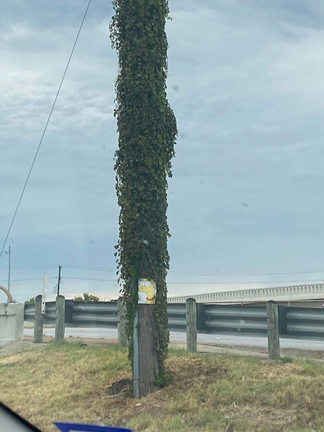 Stup pretvoren u Marge Simpson