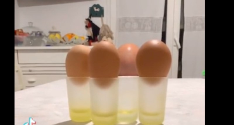 Garantiramo jednu stvar - ovaj video će vas nasmijati