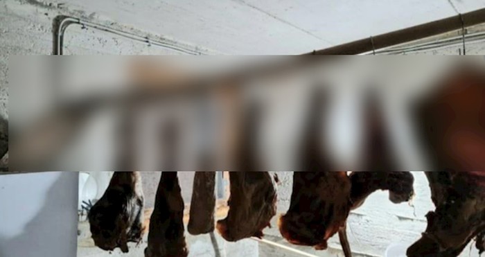 Morate vidjeti čime se ovaj Dalmatinac poslužio da bi osušio meso