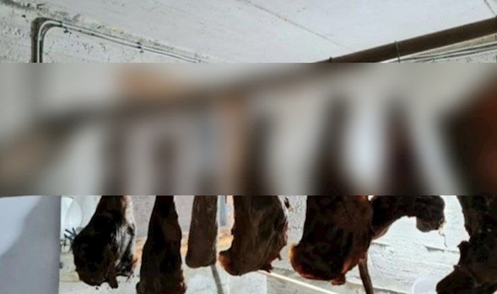 Morate vidjeti čime se ovaj Dalmatinac poslužio da bi osušio meso