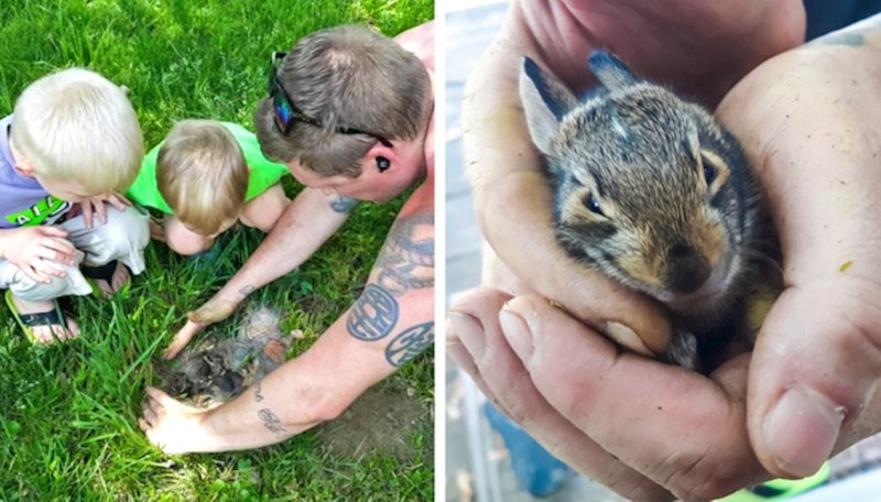 Kosili smo vrt i pronašli malene zečiće
