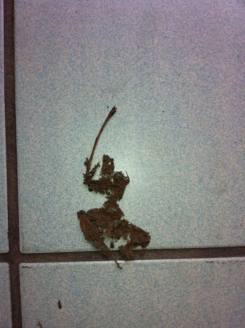 List izgleda kao nindža