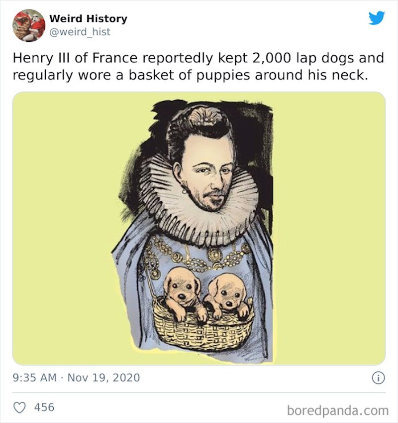 Henry III navodno je imao 3 tisuće pasa na dvoru, a štence je redovito nosio oko vrata