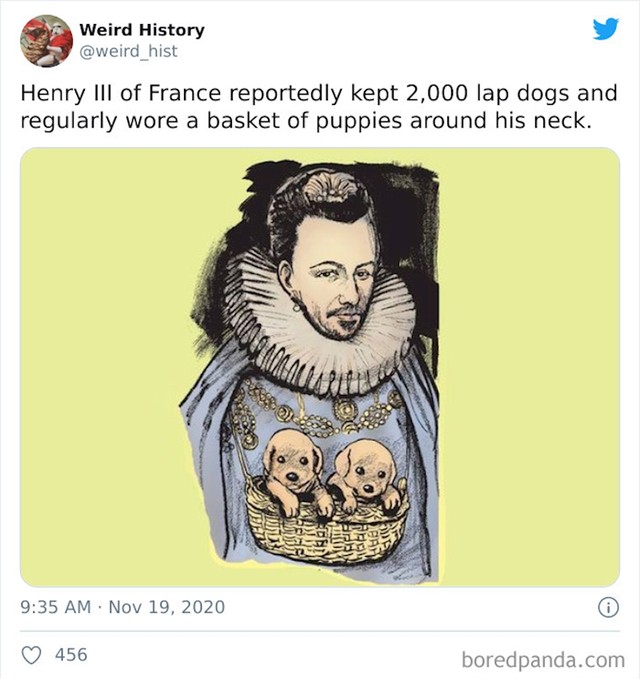 Henry III navodno je imao 3 tisuće pasa na dvoru, a štence je redovito nosio oko vrata