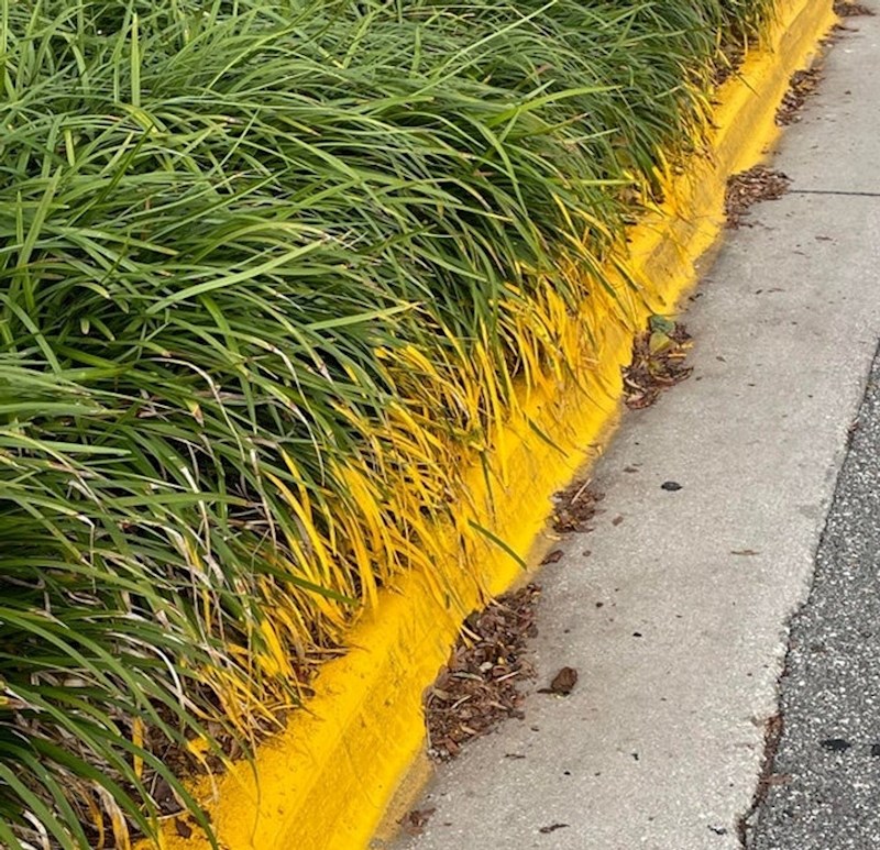 Tko bi pazio na svaki detalj