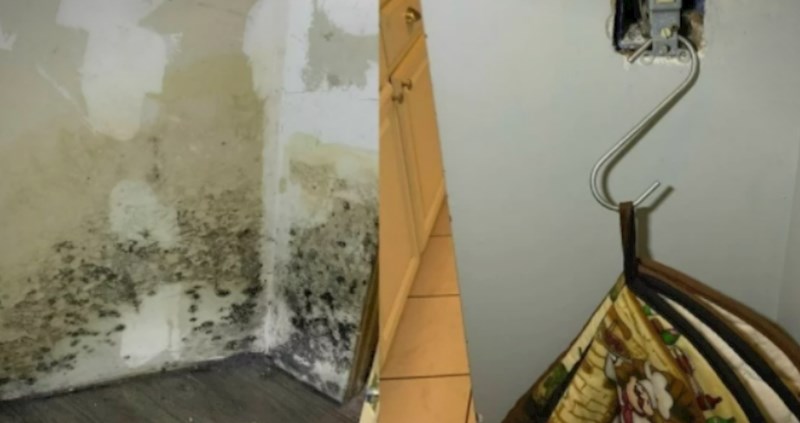 Prepustili su amaterima da im urede domove, ovo su katastrofe koje su dobili