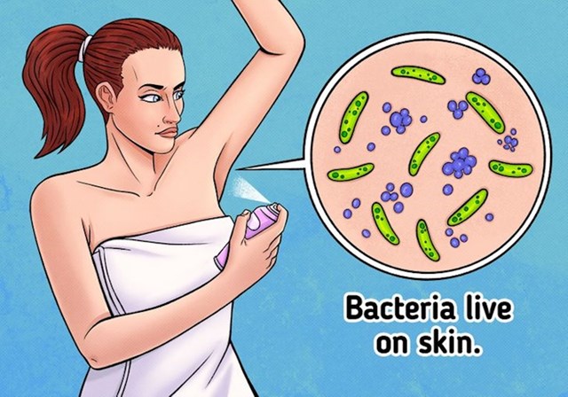 Objašnjenje počinje jednostavnom informacijom - bakterije žive na koži i one su zapravo uzrok lošeg mirisa na mokrim dijelovima tijela (ne znoj sam po sebi)