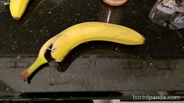 Svako jutro svekrva otvori novu bananu, uzme samo jedan griz i ostavi je "za slučaj da netko još želi"