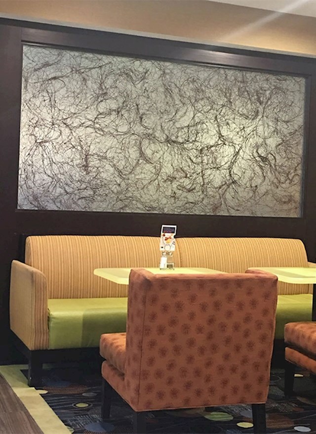 Slika u hotelu izgleda kao hrpa stidnih dlaka