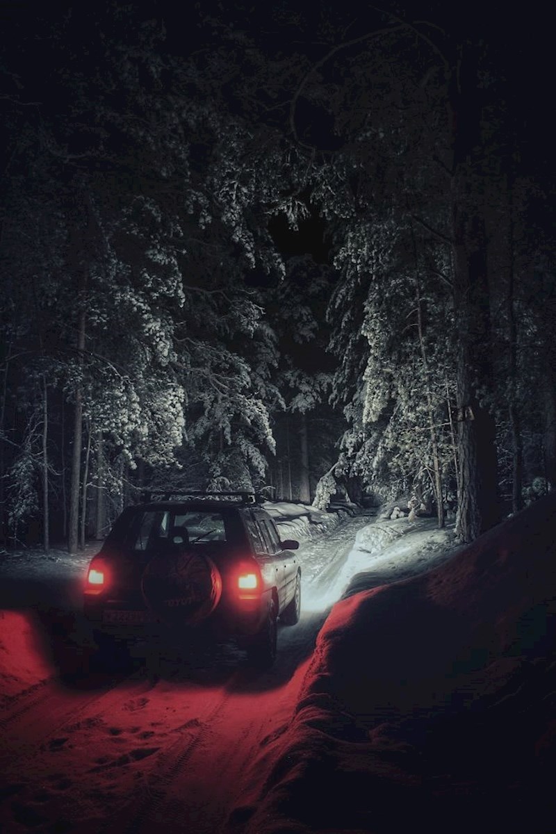 Išao je po noći u šumu, izgleda kao scena iz knjige Stephena Kinga