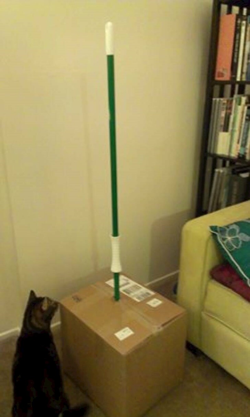 Naručila je metlu, stigla je ovako zapakirana