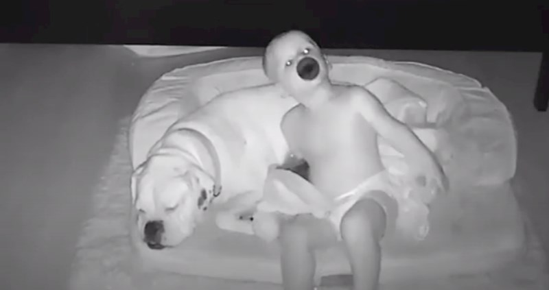 Dječak uhvaćen kako se iskrada iz kreveta i spava sa psom