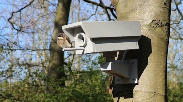 Napravio je kućicu za ptice u obliku sigurnosne kamere tako da usporava promet