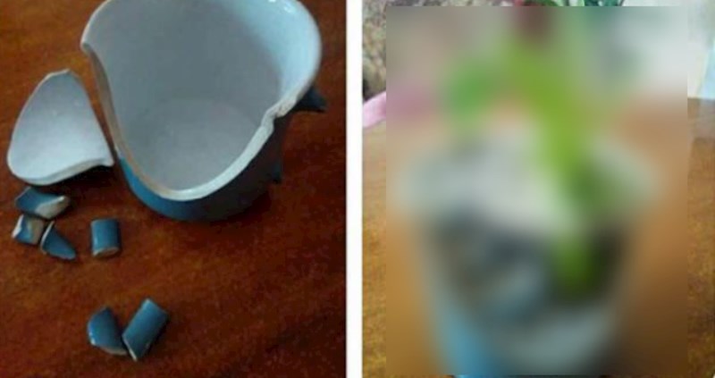 Ovo je genijalno: Razbila joj se šalica, a onda je s njom napravila nešto što je oduševilo internet