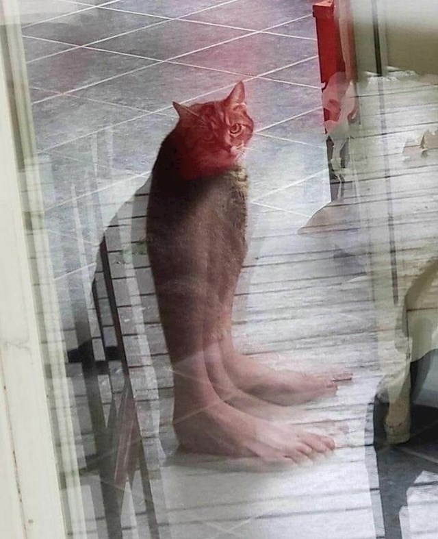 :O