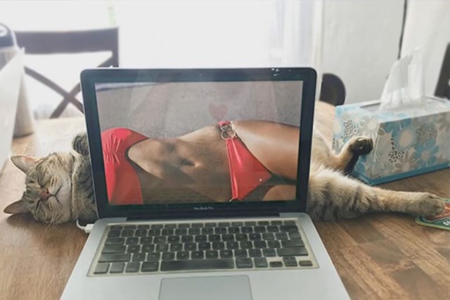 Prava si mačka ;)
