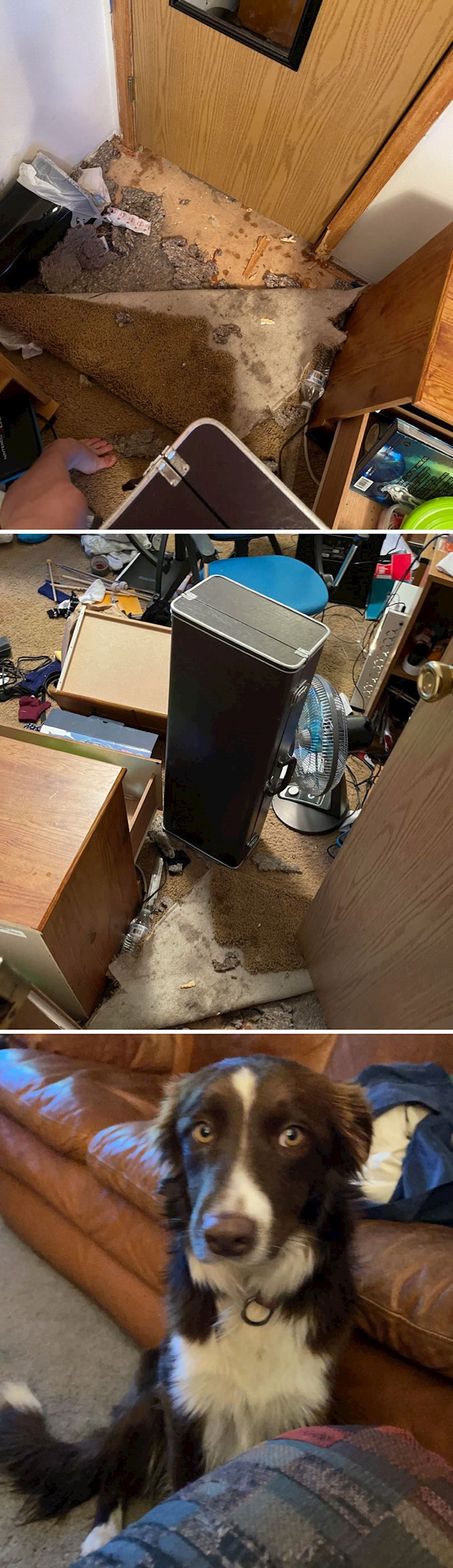 Prizor koji me dočekao kad sam se vratio s posla