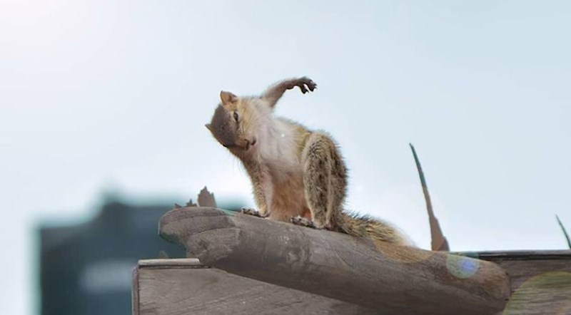 Superjunak uhvaćen u pravi trenutak