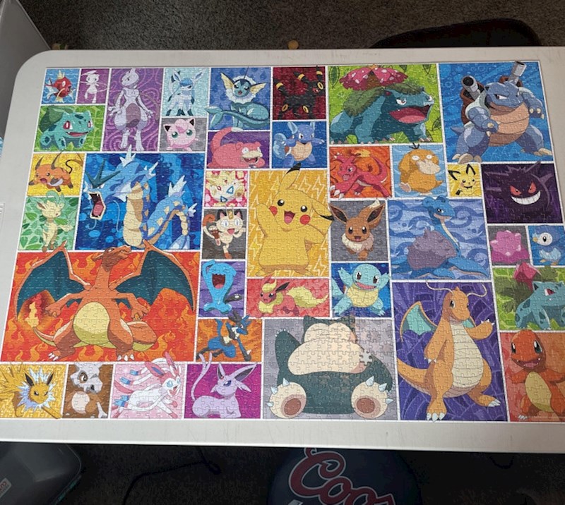 Brat je izgubio jednu puzzlu i sad ima Pokemon puzzle od 1999 dijelova