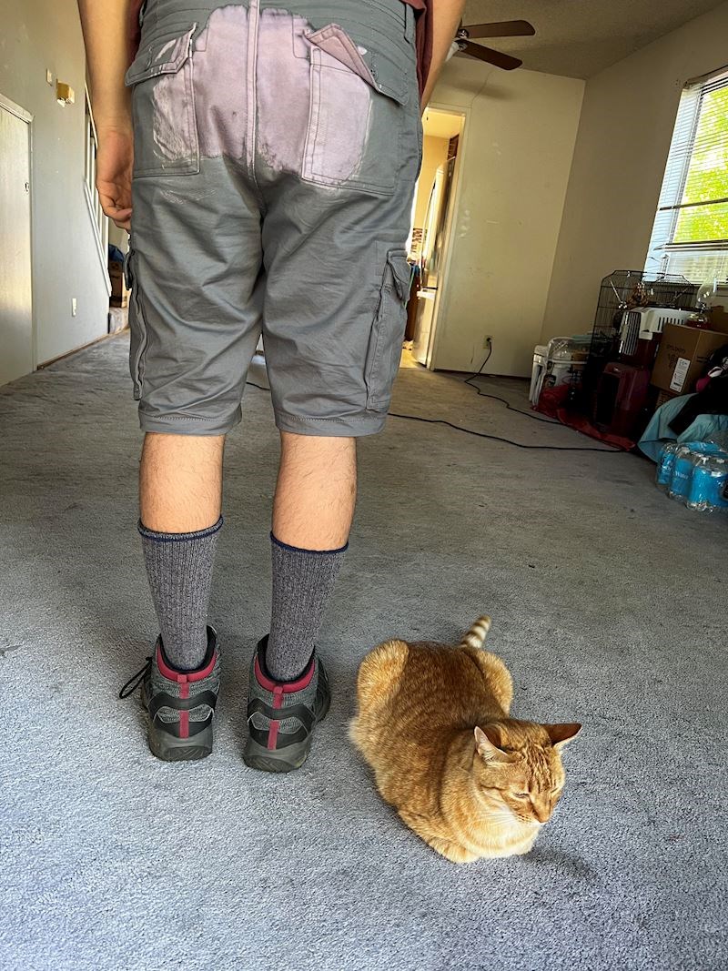 Sjeo je na stolicu koju je očistio klorom