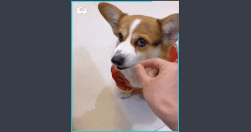 Prevario ga je jednom, ali drugi put nema šanse