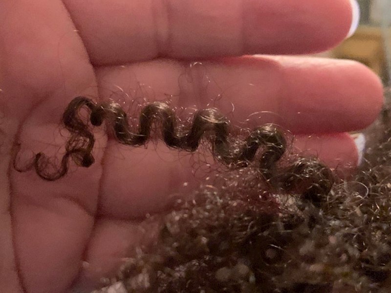 Uzorak kovrči moje kćeri me oduševljava