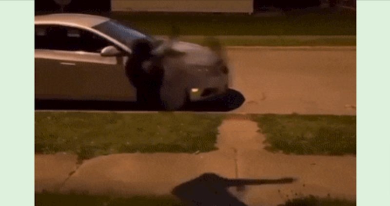 Ninja kakvog niste vidjeli