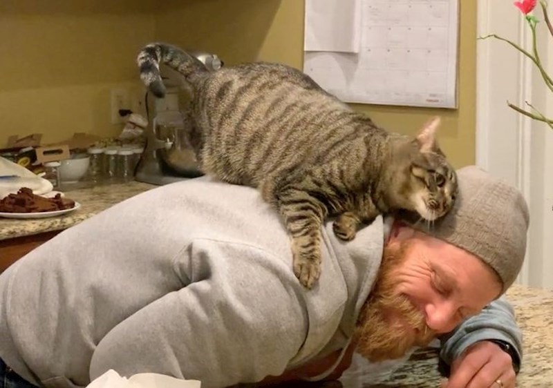 Rekao je da nije tip za mačke, jedva sam ga nagovorila da ju udomimo