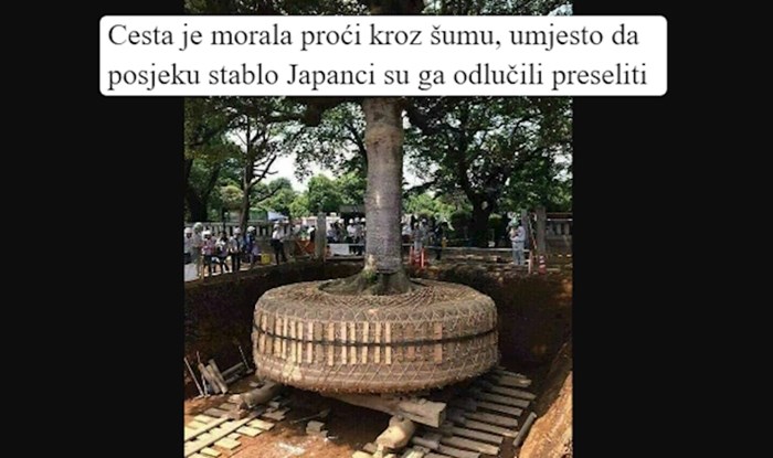 15 stvari koje dokazuju da je Japan potpuno drukčiji od ostatka svijeta