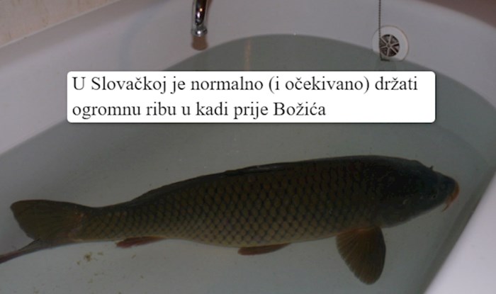 20 stvari koje su potpuno normalne u nekim državama, a ostatak svijeta smatra da su bizarne
