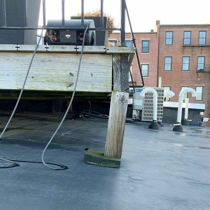 Jedan Kung fu   potez i ode cijeli trijem