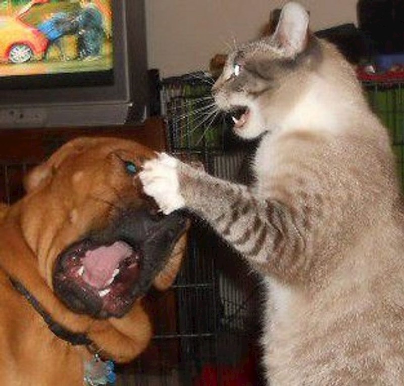 Ti prvi prestani, ne, ti prva prestani!